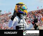 Lewis Hamilton Macaristan Grand Prix 2013 yılında zaferini kutluyor